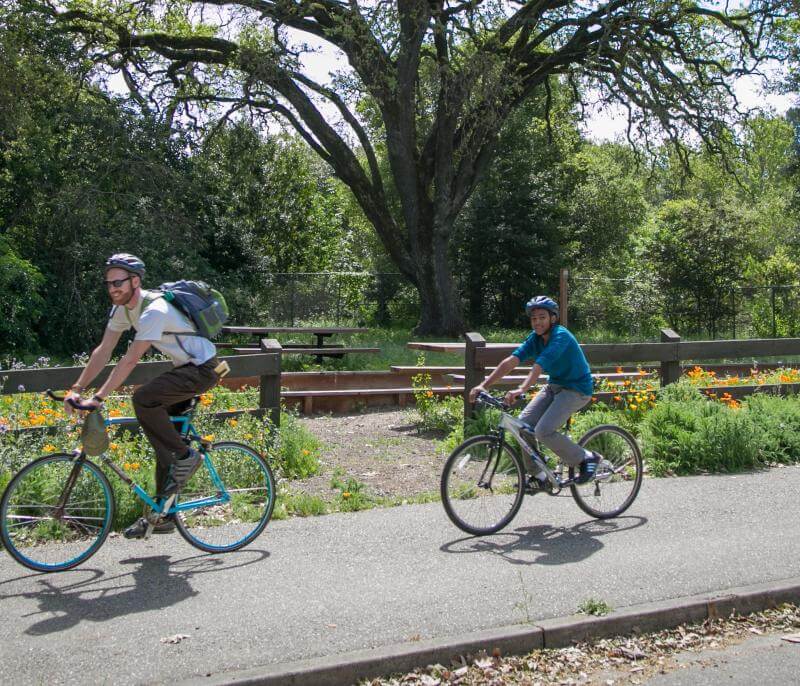 Easy bike trails online near me